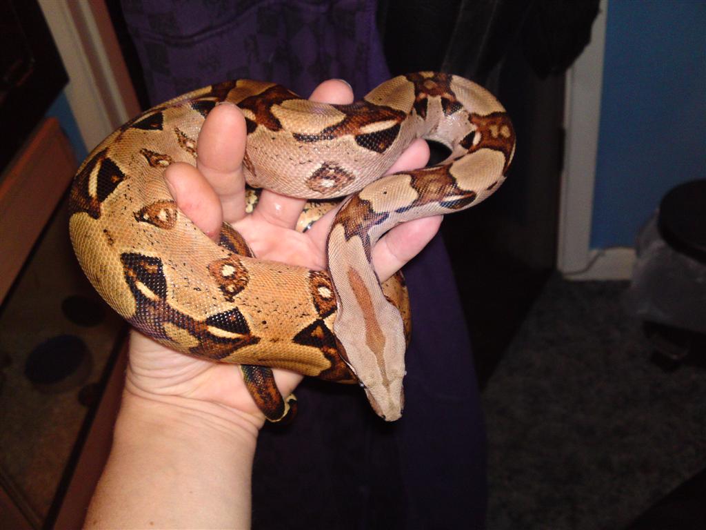 09062010012.JPG