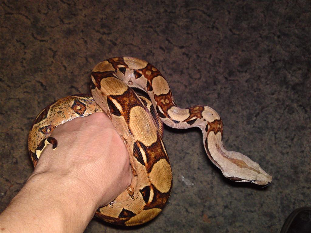 09062010015.JPG