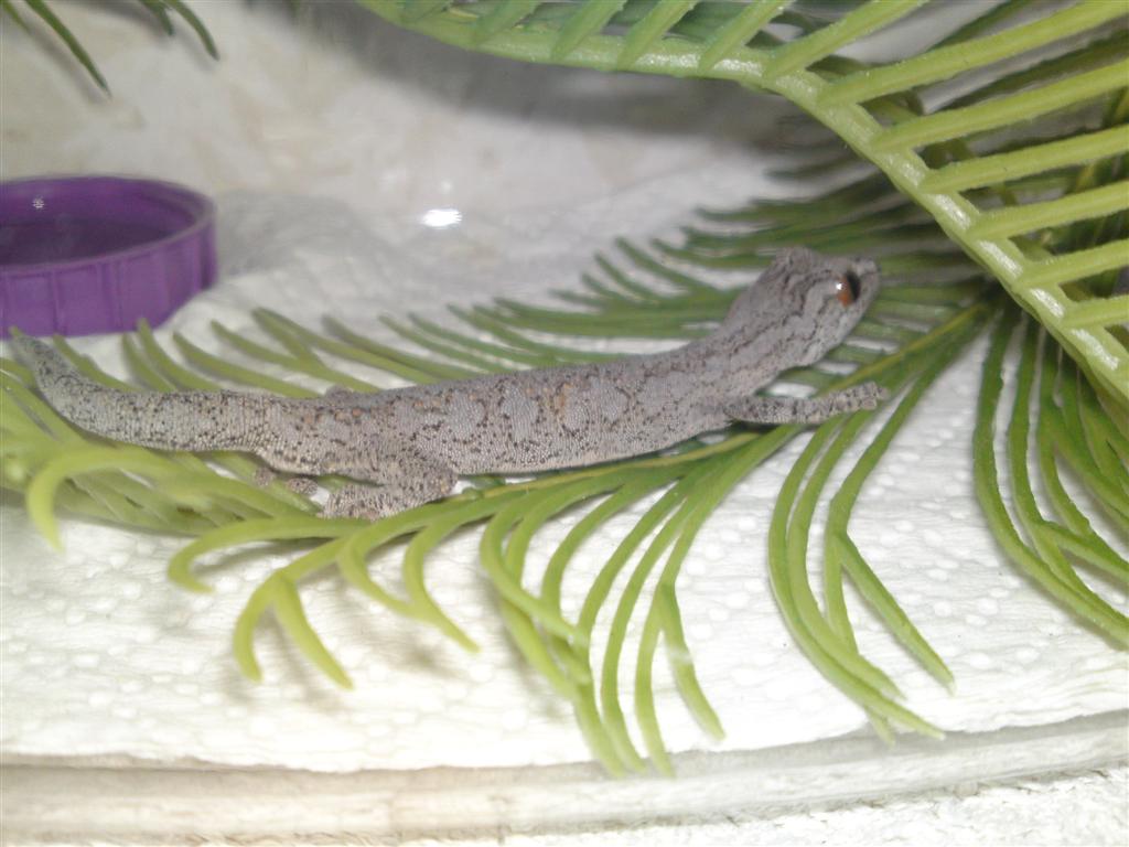 21062010036.JPG