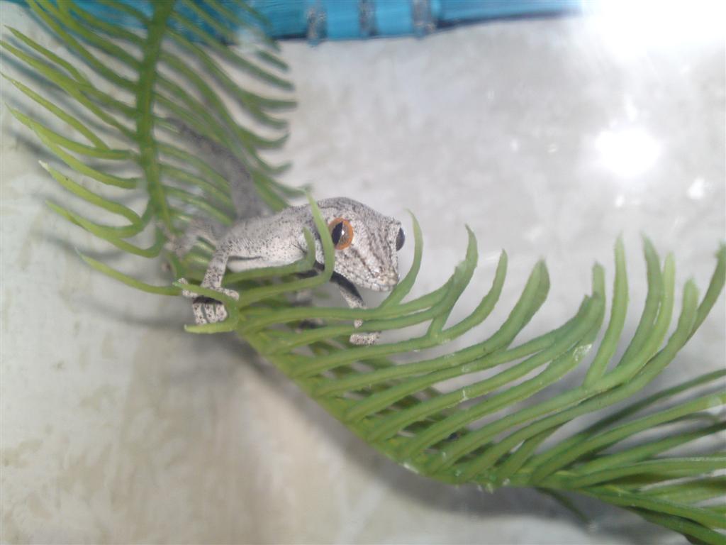 21062010039.JPG