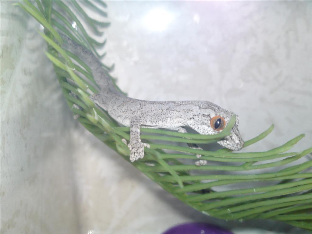 21062010040.JPG